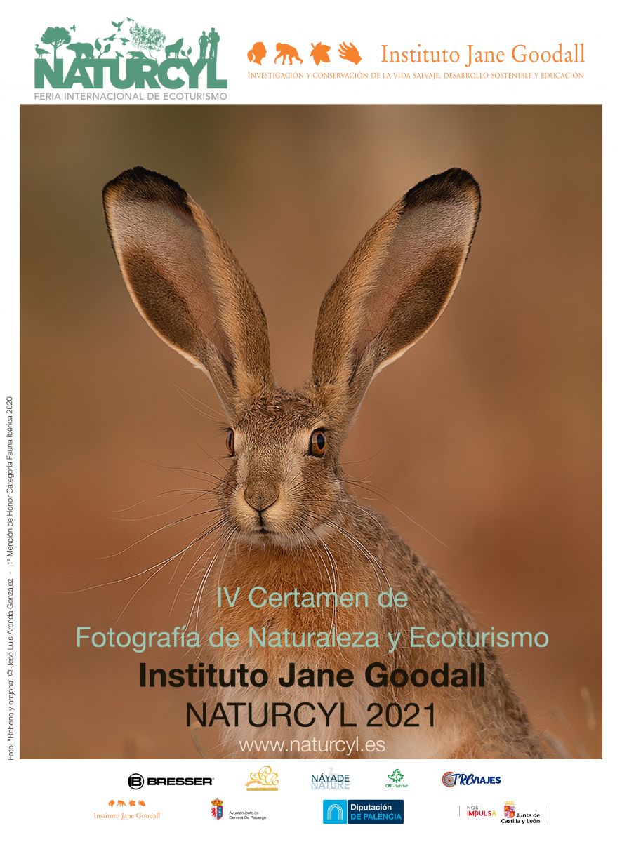 ¡Concurso de fotografía "Instituto Jane Goodall"  con grandes premios!