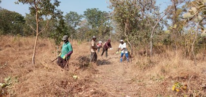 Trabajando contra los incendios forestales en Senegal
