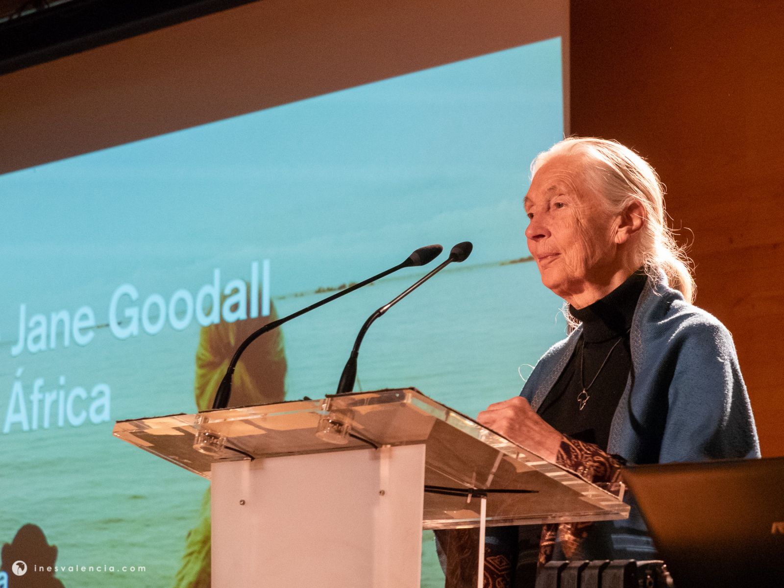 Jane Goodall, inspiración para niñas y mujeres que aman la ciencia 