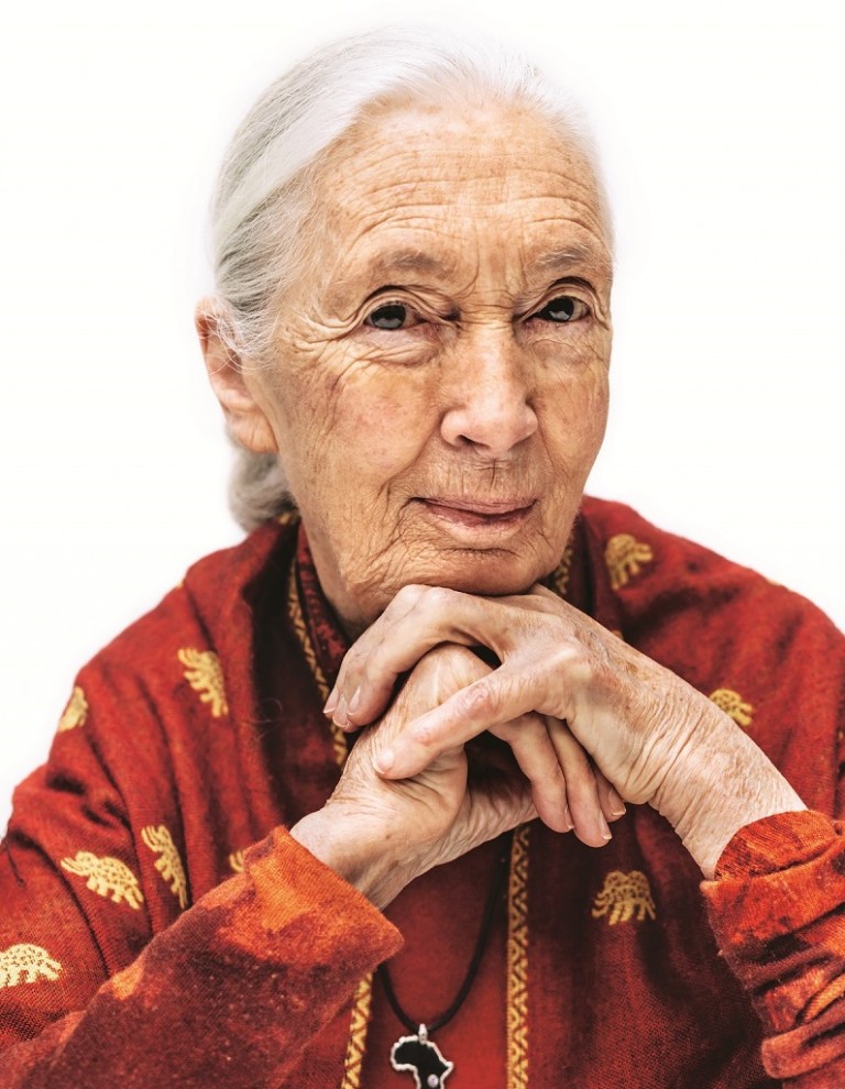 ¡Feliz 87º cumpleaños, Dra. Jane Goodall!