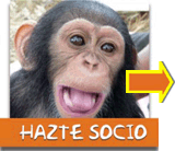Hazte socio