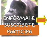 suscribete