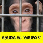 grupo3