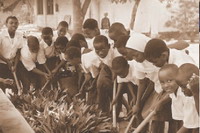 Niños