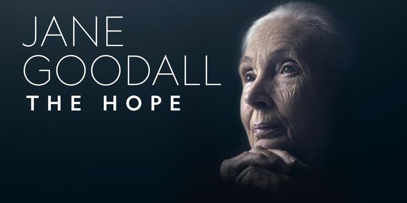 ¡No te pierdas el estreno del film "Jane Goodall: La gran esperanza"!