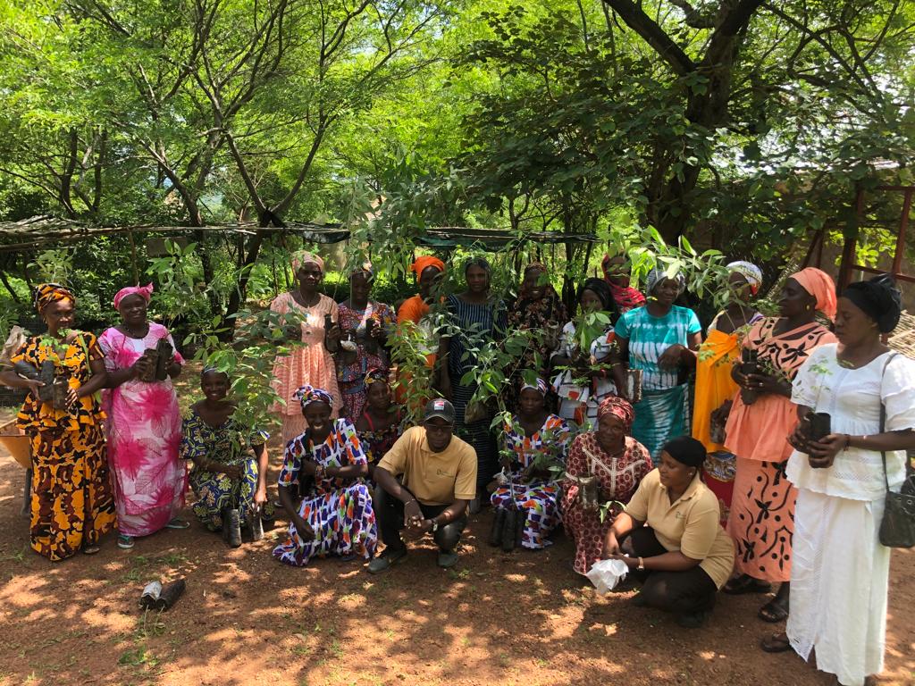Plantamos y distribuimos más de 110.000 árboles y semillas en Senegal 