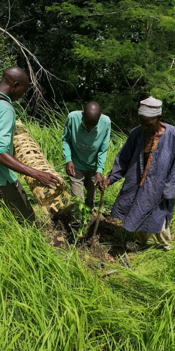 Avanzamos con más reforestaciones en Senegal