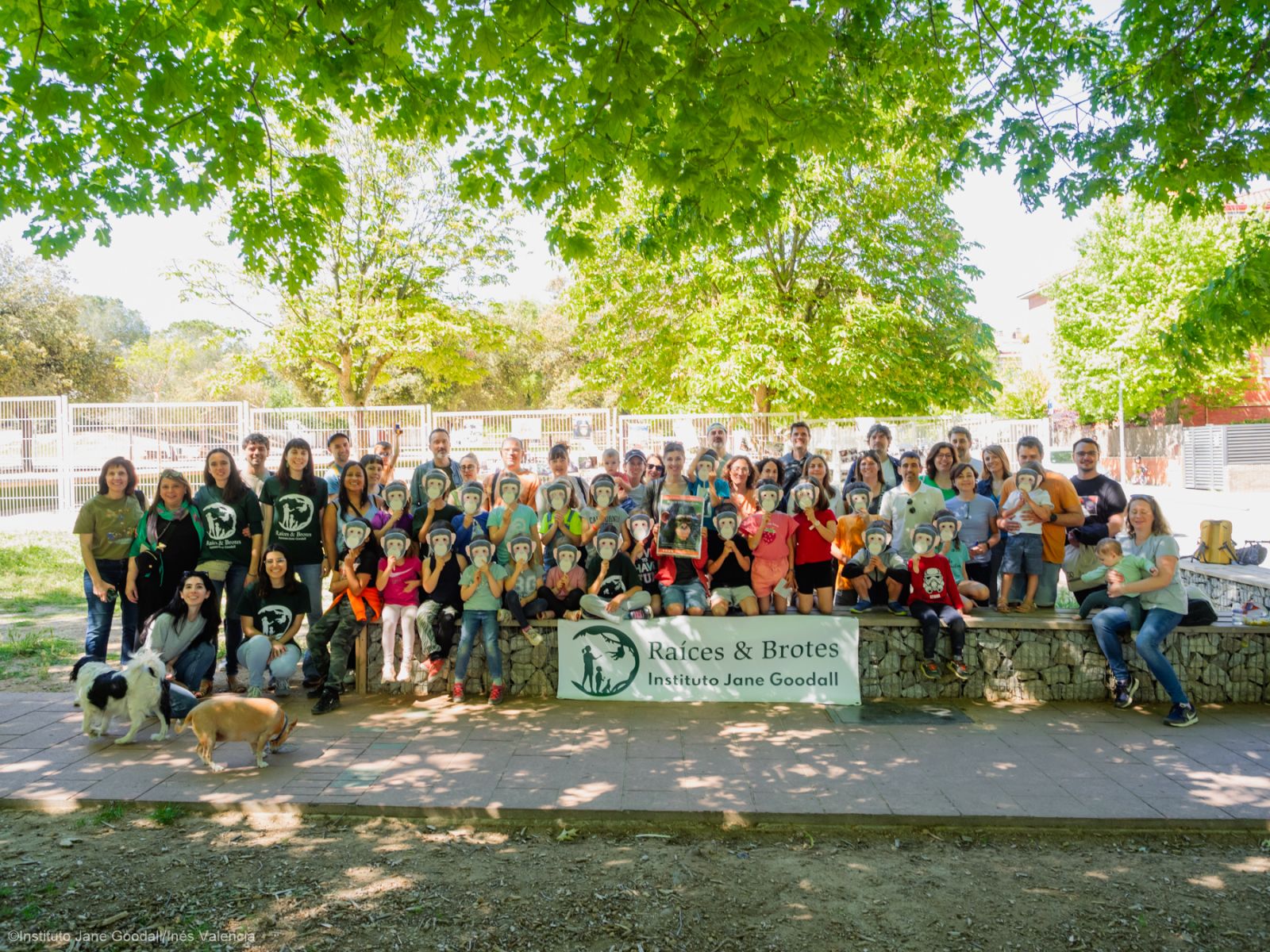 Un año inolvidable para Jane Goodall y su Instituto en España