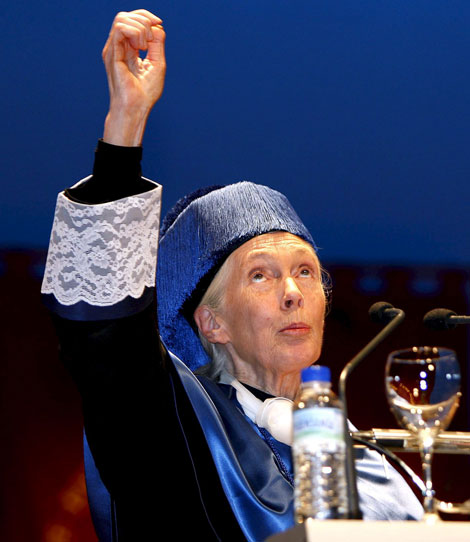Jane Goodall, doctora honoris causa
