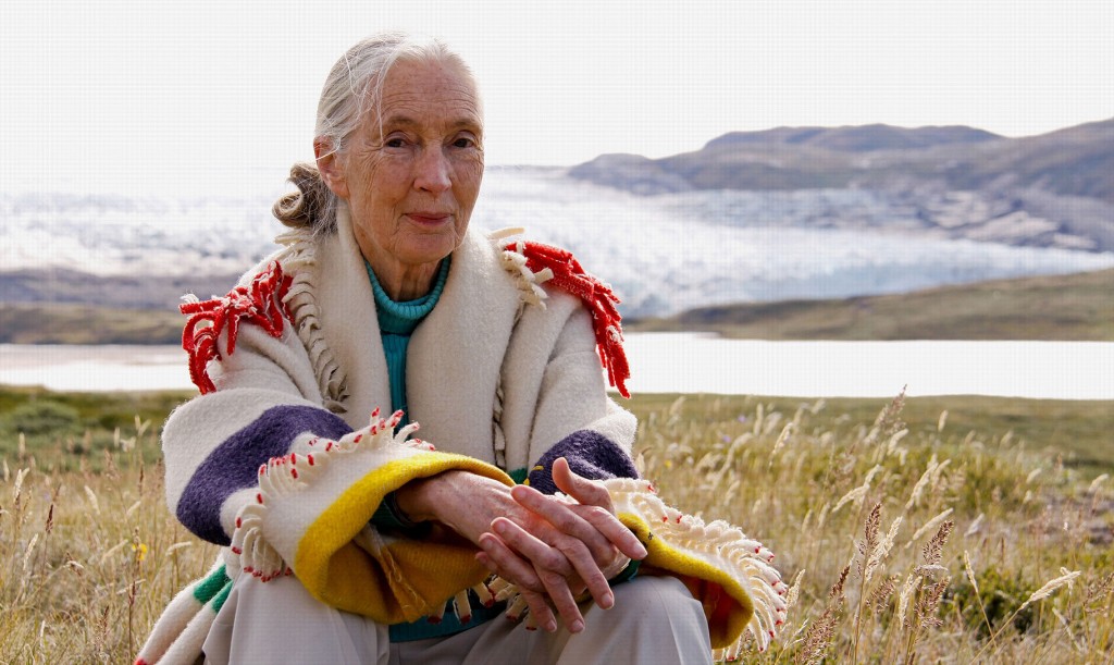 ¡Bienvenida a España, Dra. Jane Goodall!