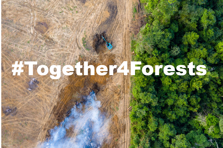 ¡Más de un millón de personas piden una ley europea contra la deforestación!