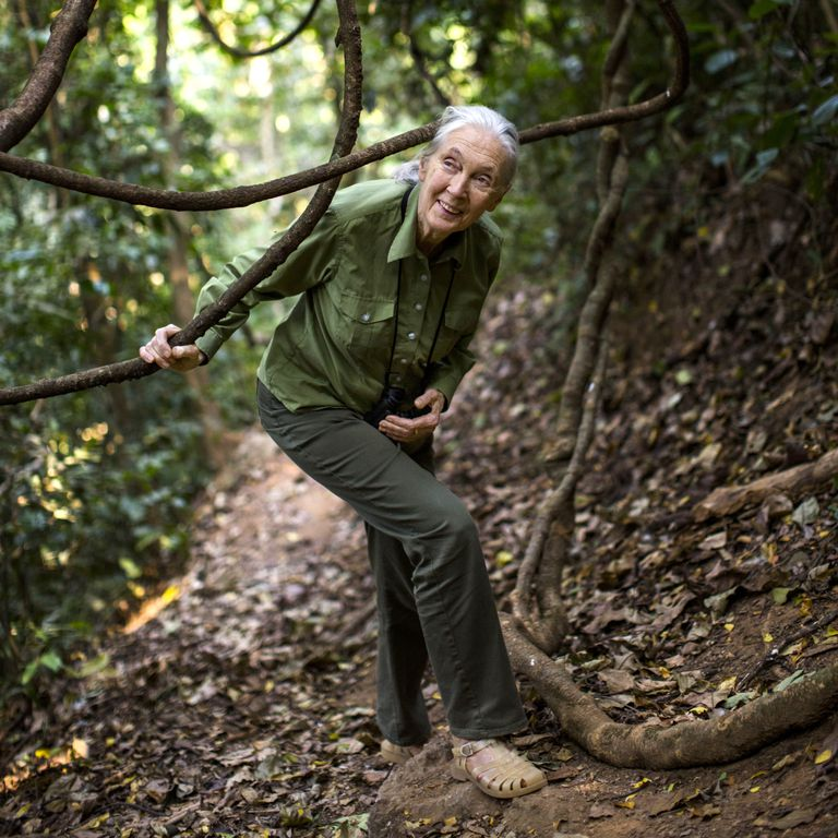 Entrevista de ELLE a la Dra. Goodall